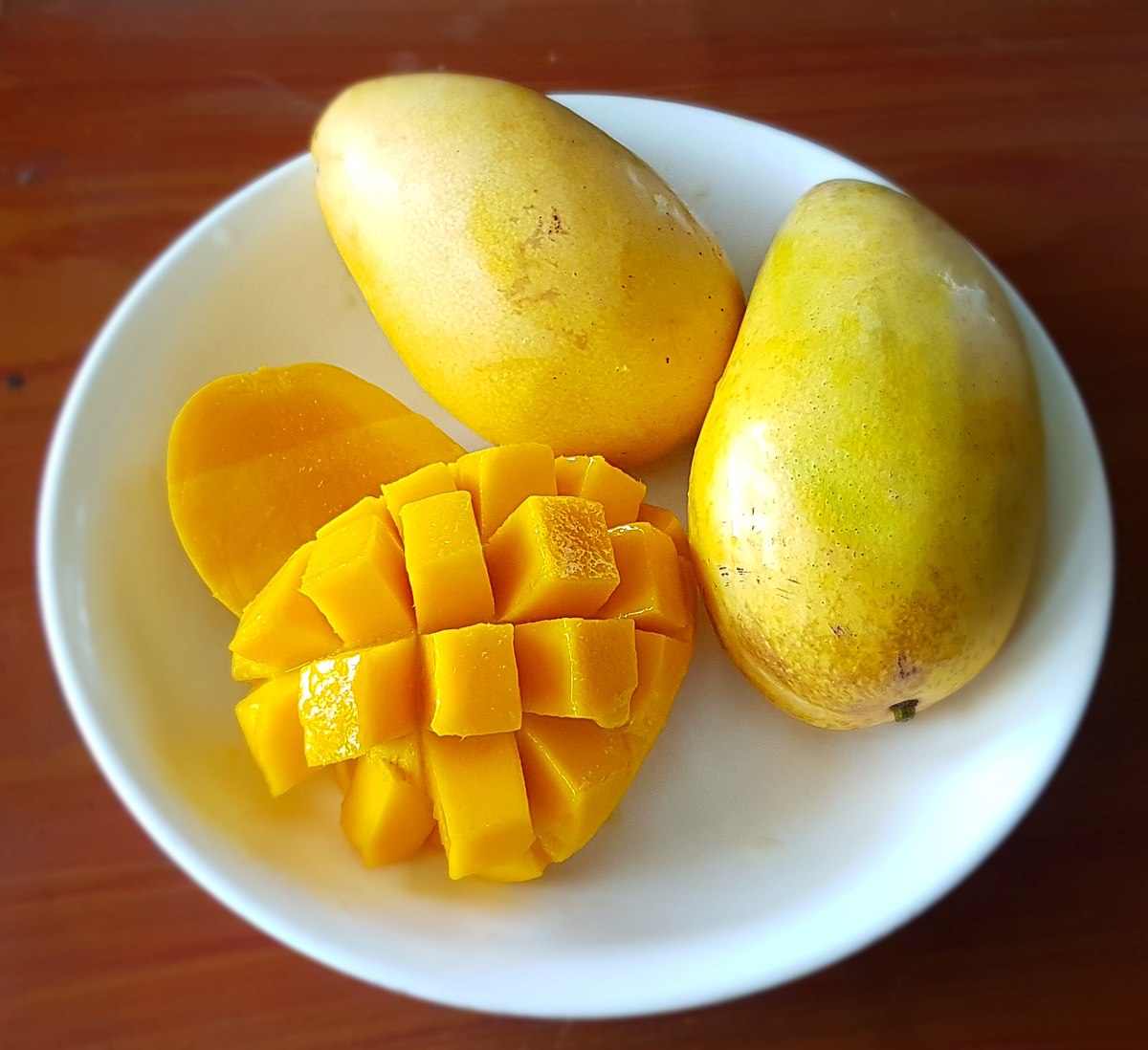 Early Gold Mango (Mangifera indica)