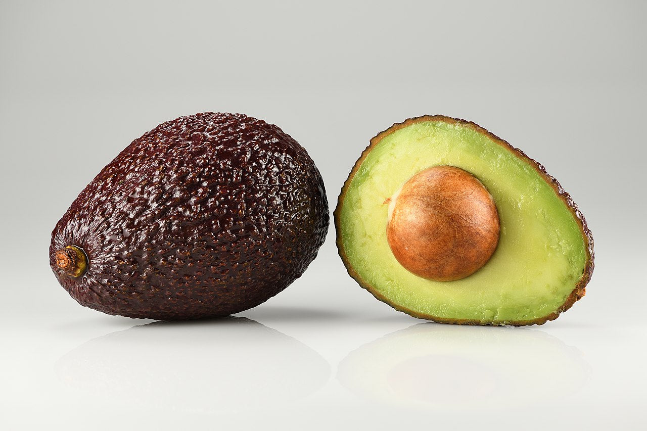 Avocado Seeds (Persea americana)