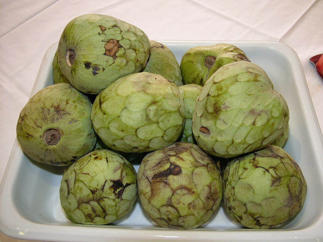 Cherimoya (Annona cherimola)