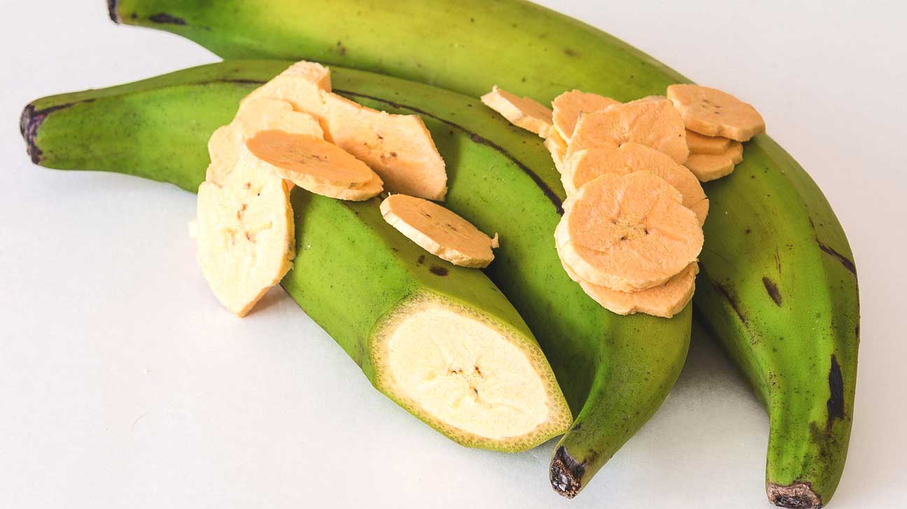 Plantain (Musa paradisiaca) – Versatile Cooking Banana