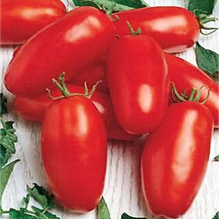 Red Banana Tomato Seeds for Planting - heirloom & Non GMO Seeds