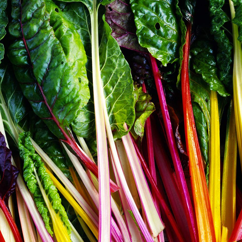Rainbow Chard Seeds for Planting heirloom & Non-GMO Seeds