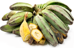Saba banana Musa saba seeds for planting in home orchard