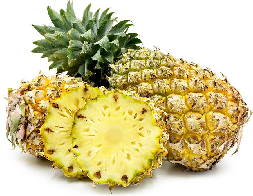 Queen Tahiti Pineapple Seeds