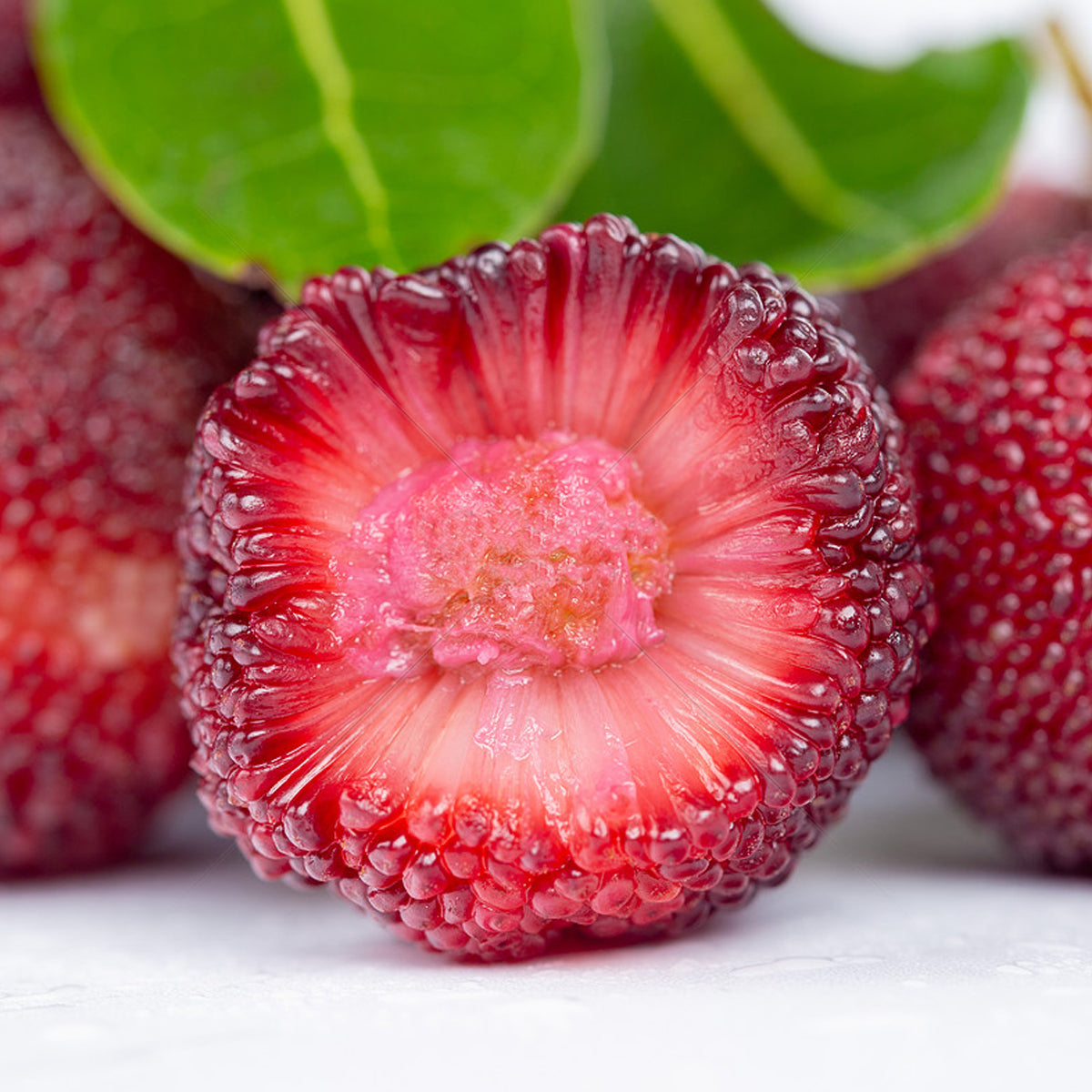 Red Bayberry – A Sweet and Tangy Delight