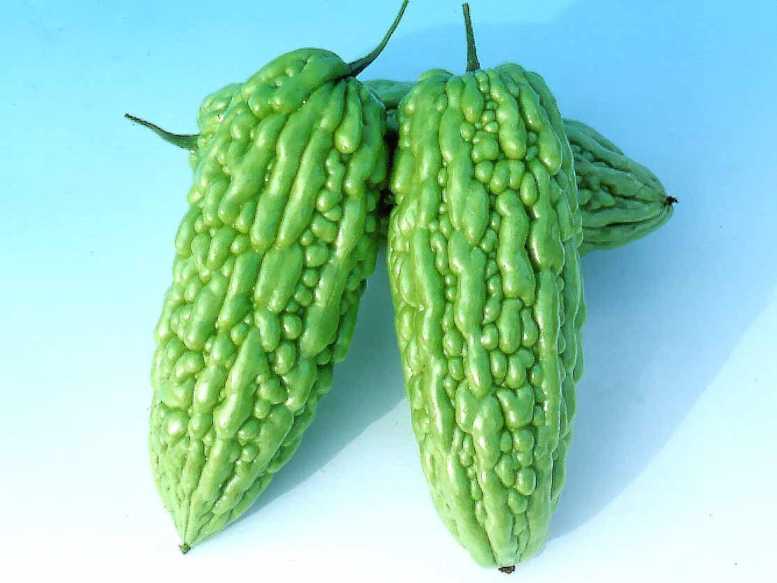 Green Balsam Pear Bitter Melon