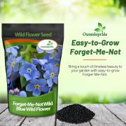 Myosotis Sylvatica Hardy Perennial Forget Me Not Seeds