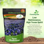 Texas Bluebonnet Vibrant Blue Wildflower Seeds