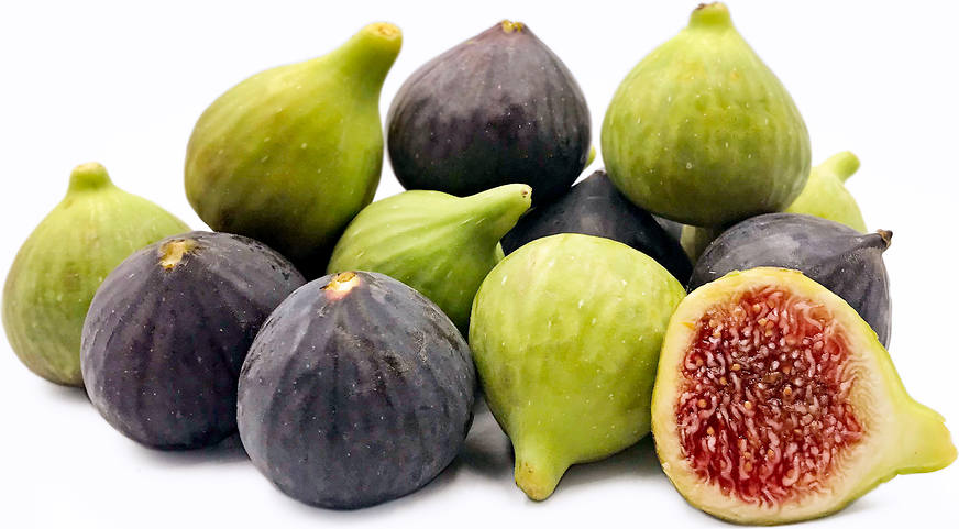 Grecian Fig (Ficus carica)