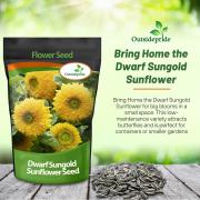 Sunflower Dwarf Sungold Compact Double Bloom Seeds