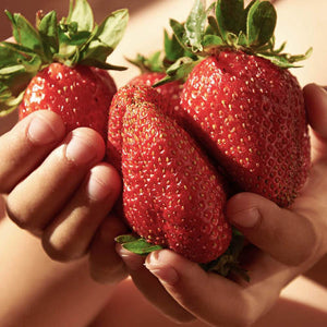 freshly picked super giant strawberries in wooden basket


