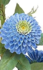 "blue-zinnia-flower-seeds-for-planting-bright-annual-blooms"

