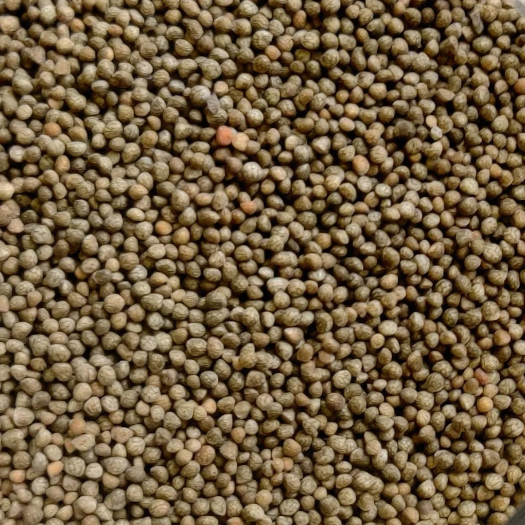 Mixed Perilla Plant Seeds for Planting
