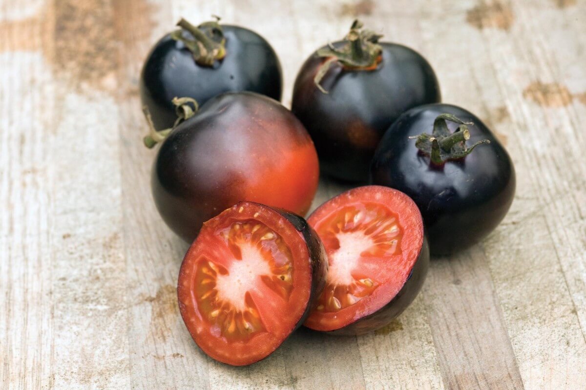 Tomato Liberian Of Open Pollinated – Heirloom, Non-GMO, High Germination Organic Garden Seeds