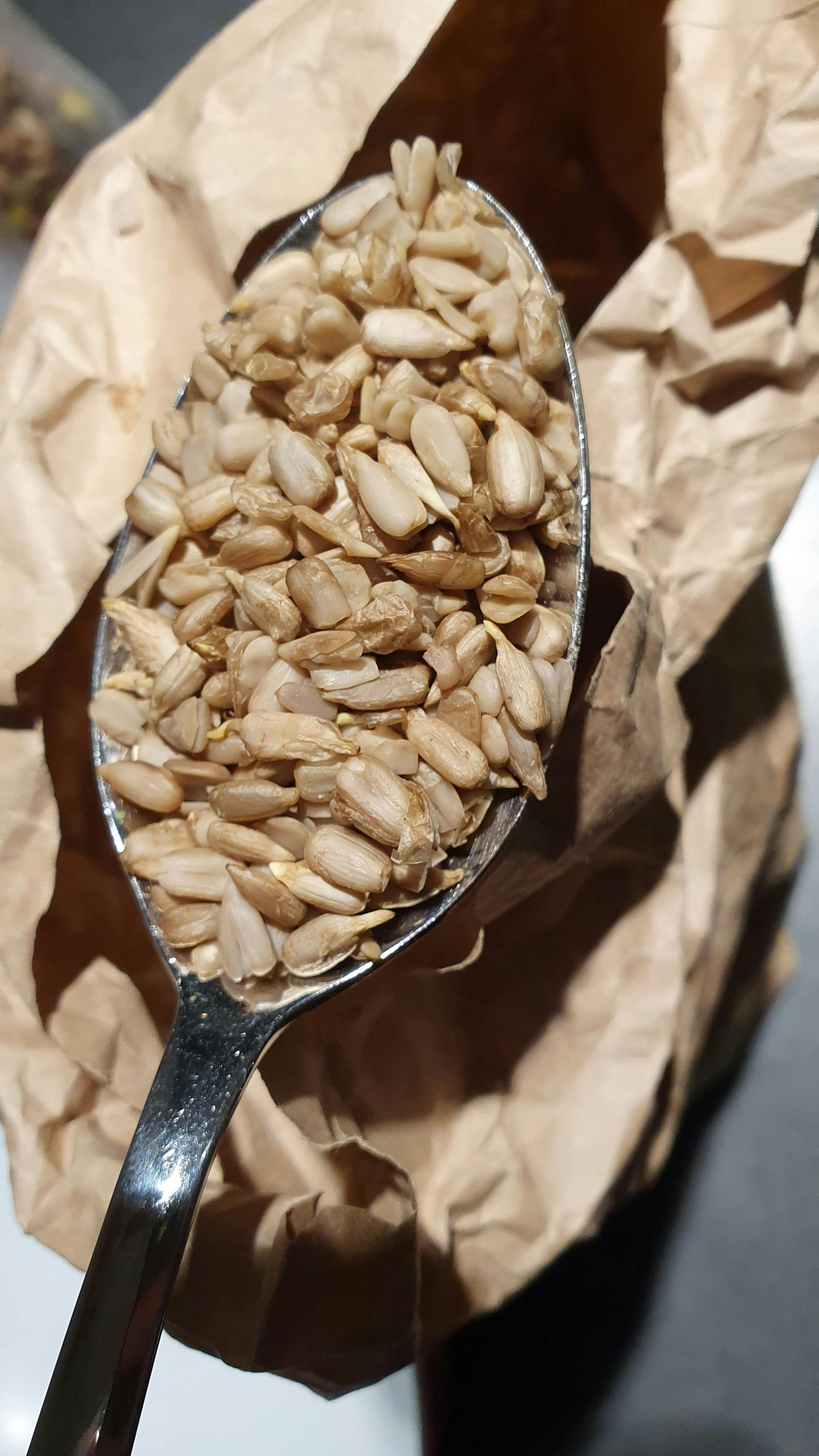 Sunflower Helianthus annuus Hoch Flowering Seeds For Planting in backyard gardening or pollinator beds
