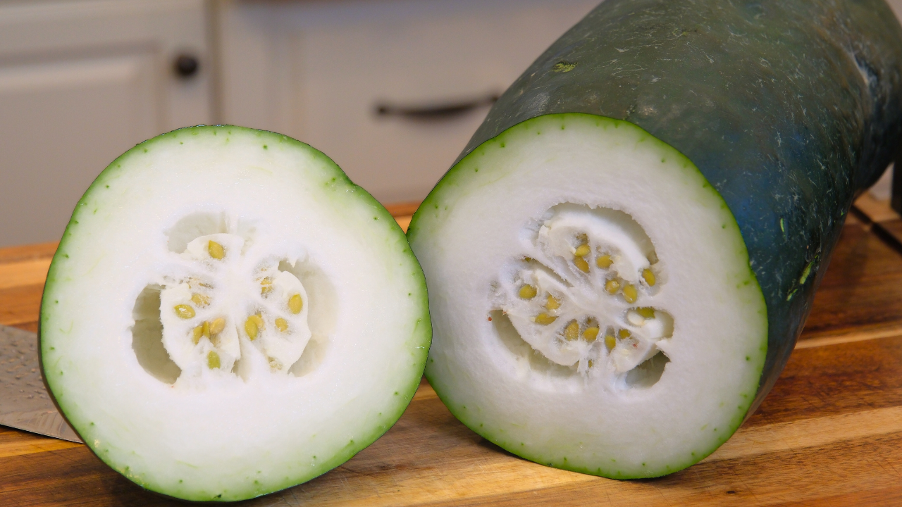 Giant White Skin Winter Melon Seeds