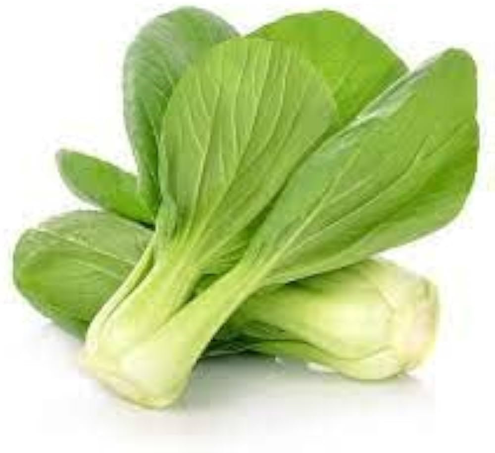 San Fan Hybrid Pak Choi Seeds pcs Thick Green Leaves