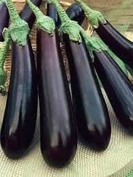 Orient Eggplant Seeds for Planting