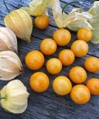 Mexican Strain Tomatilla Seeds for Planting