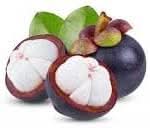 Mangosteen Fruit Seed Set for Sweet, Tropical Delights