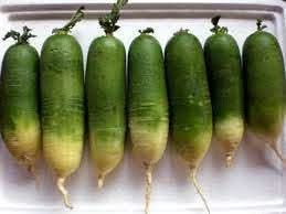 White radish Raphanus sativus seeds for planting in urban garden