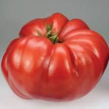 Huge Tomato Seeds for Planting, Red,