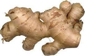 Ginger Vegetable Seeds for Planting