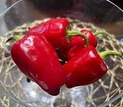 Halaby Pepper Capsicum annuum seeds for garden planting