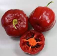 Red Giant Rocoto Vegetable Seeds for Planting, heirloom & Non-GMO Seeds ...
