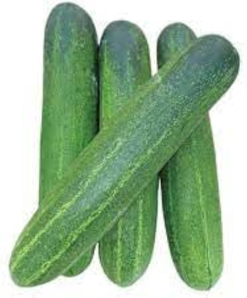 Calypso Cucumber Cucumis sativus Vegetable Seeds for Planting in Vegetable Patch and Garden