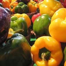 Sweet Pepper Rainbow Vegetable Seeds for Planting - Heirloom and Non-GMO garden seeds