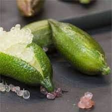 Lime fruit seeds