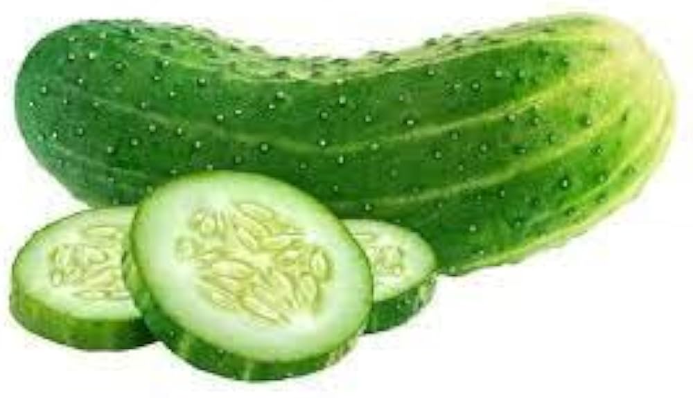 KVARIT F1 Cucumber Seeds for Home Garden Vegetable Planting
