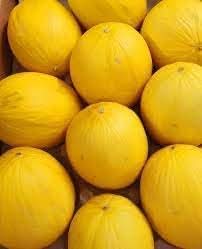 Honey Melon Fruit Seeds for Growing Sweet and Refreshing Melons