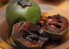 Diospyros Digyna chocolate pudding seeds for planting in home garden