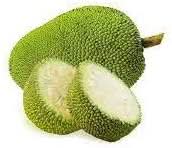 Green Jackfruit Seeds for Planting – Sweet and Nutritious Jackfruit for Tropical Gardens, GMO Free