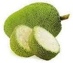 Green jackfruit fruit seeds for tropical gardens