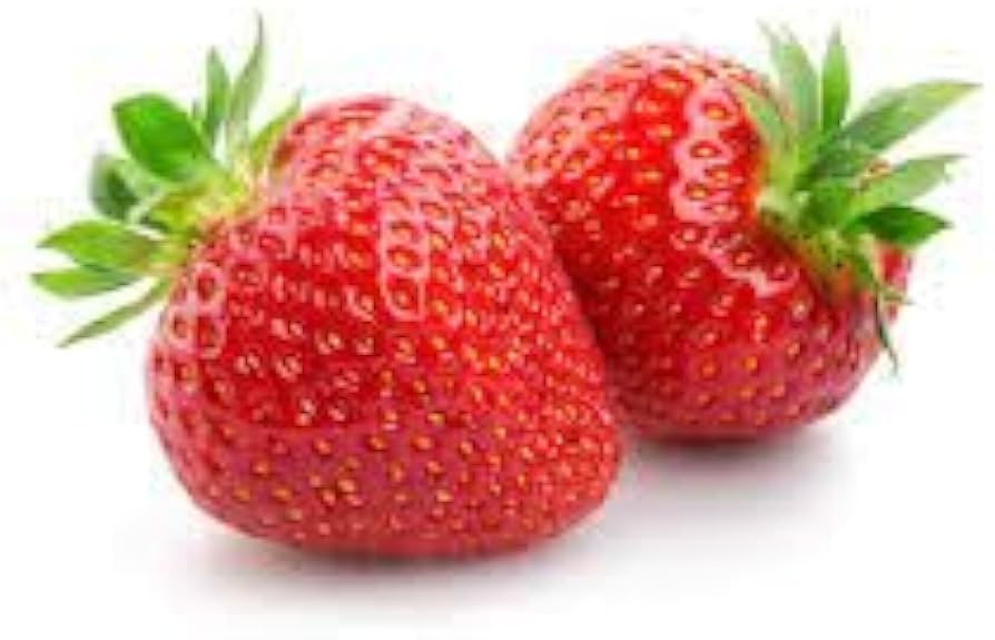 Hokowase Strawberry Seeds for Planting Fragaria x ananassa for vegetable patches and garden beds
