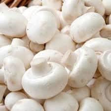 Gourmet mushroom spores for indoor planting