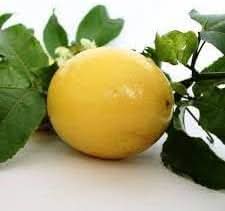 Passionfruit Seed Pack for Tropical Vine Growth and Fruit Production