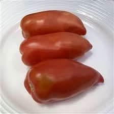 Opalka Heirloom Tomato Seeds for Planting