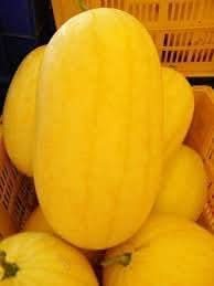 Hami Melon Seeds for Planting
