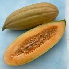 Banana Cantaloupe Seeds for Planting - Plant for a Unique and Sweet Fruit Harvest