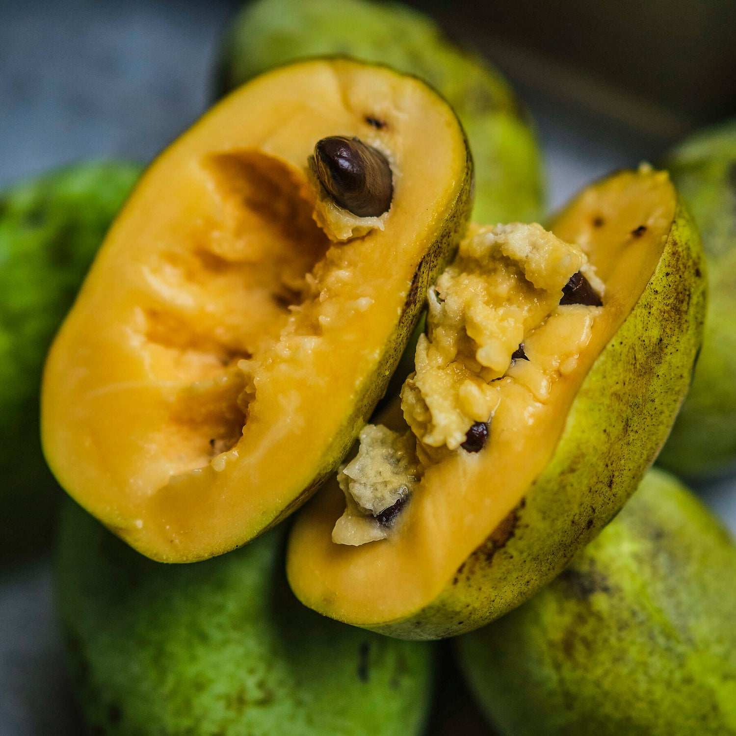 Pawpaw (Asimina triloba) – Tropical Fruit with a Unique Flavor, High in Nutrients