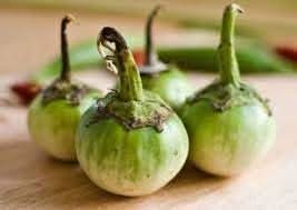 Aubergine Vegetable Seeds for Planting, heirloom & Non-GMO Seeds