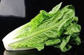 Romaine Lettuce Vegetable Seeds for Planting