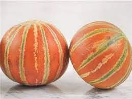 Kajari Melon Fruit Seeds - Indian Melon Variety for Warm Climates