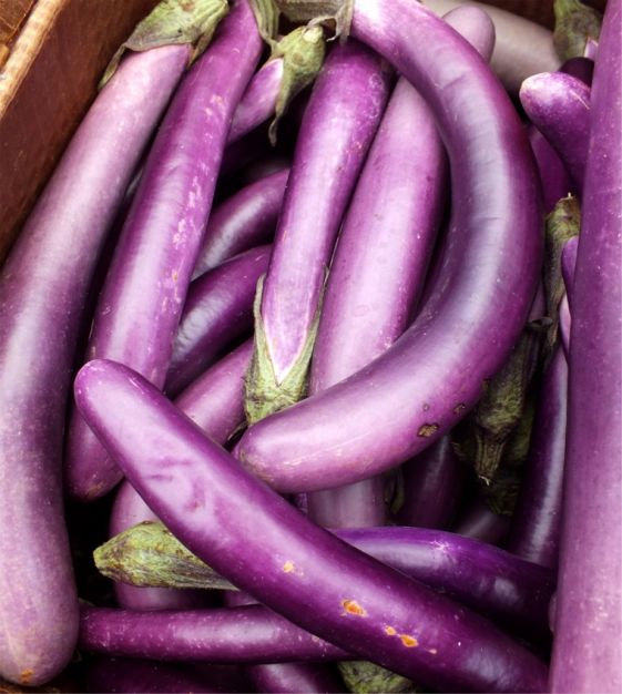 Eggplant Seeds - Long Asian