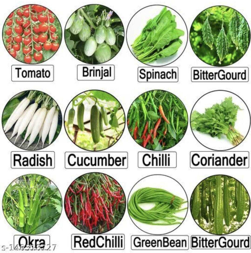 Mixed vegetables seeds for planting in kitchen garden or backyard raised beds