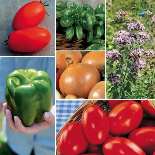 Ultimate Vegetable Pizza Garden Seed Collection High Germination Garden Seeds heirloom non-gmo seeds